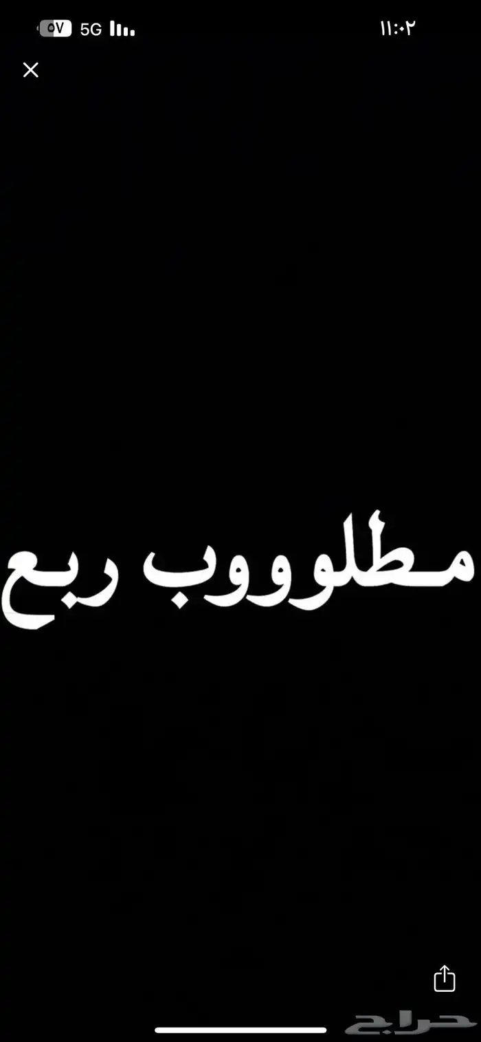 مطلوب ربع بيج (10 15) ليس بحكومي 0