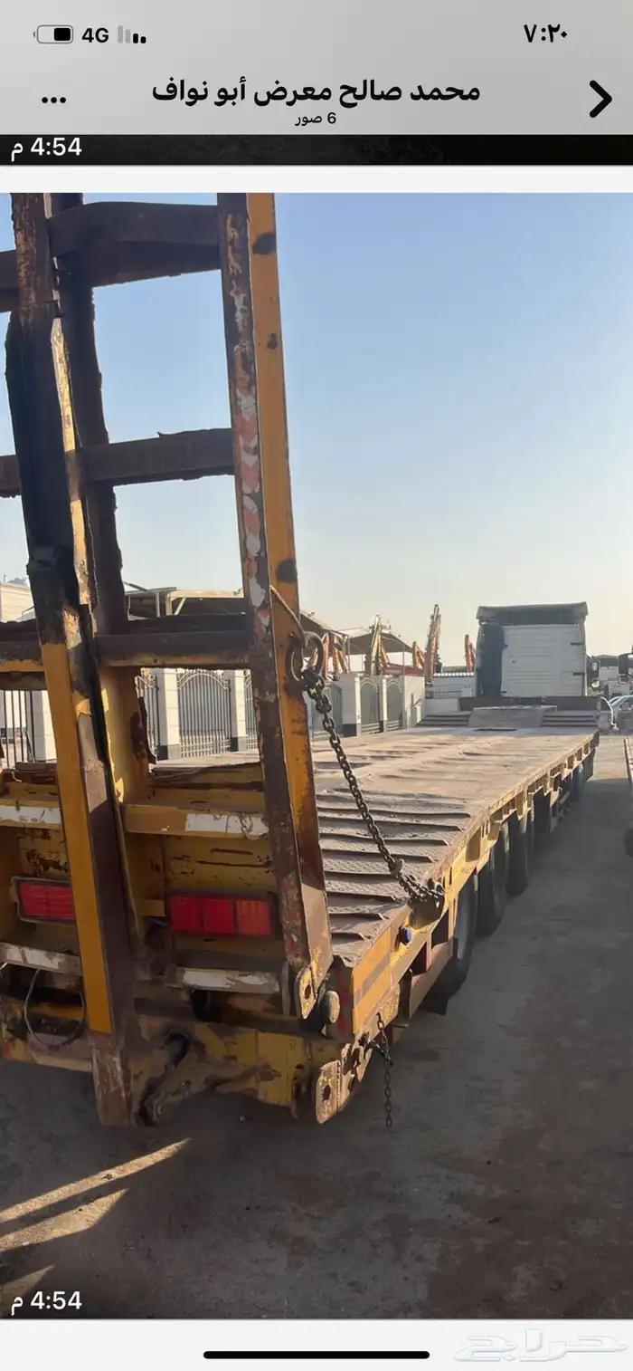راس فولفو مع الوبد 0
