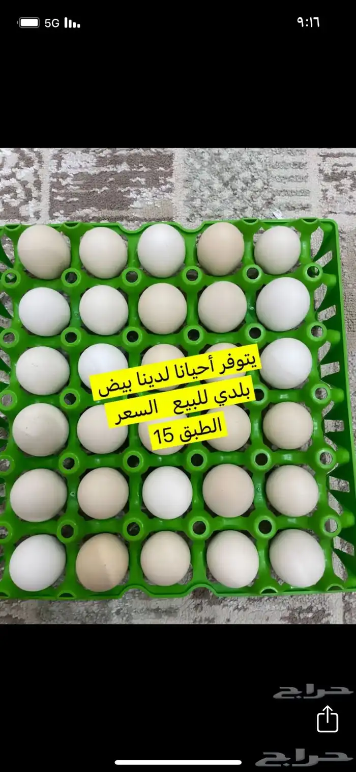 فروخ دجاج مشروك بلدي مع تركي الموقع عفيف 1