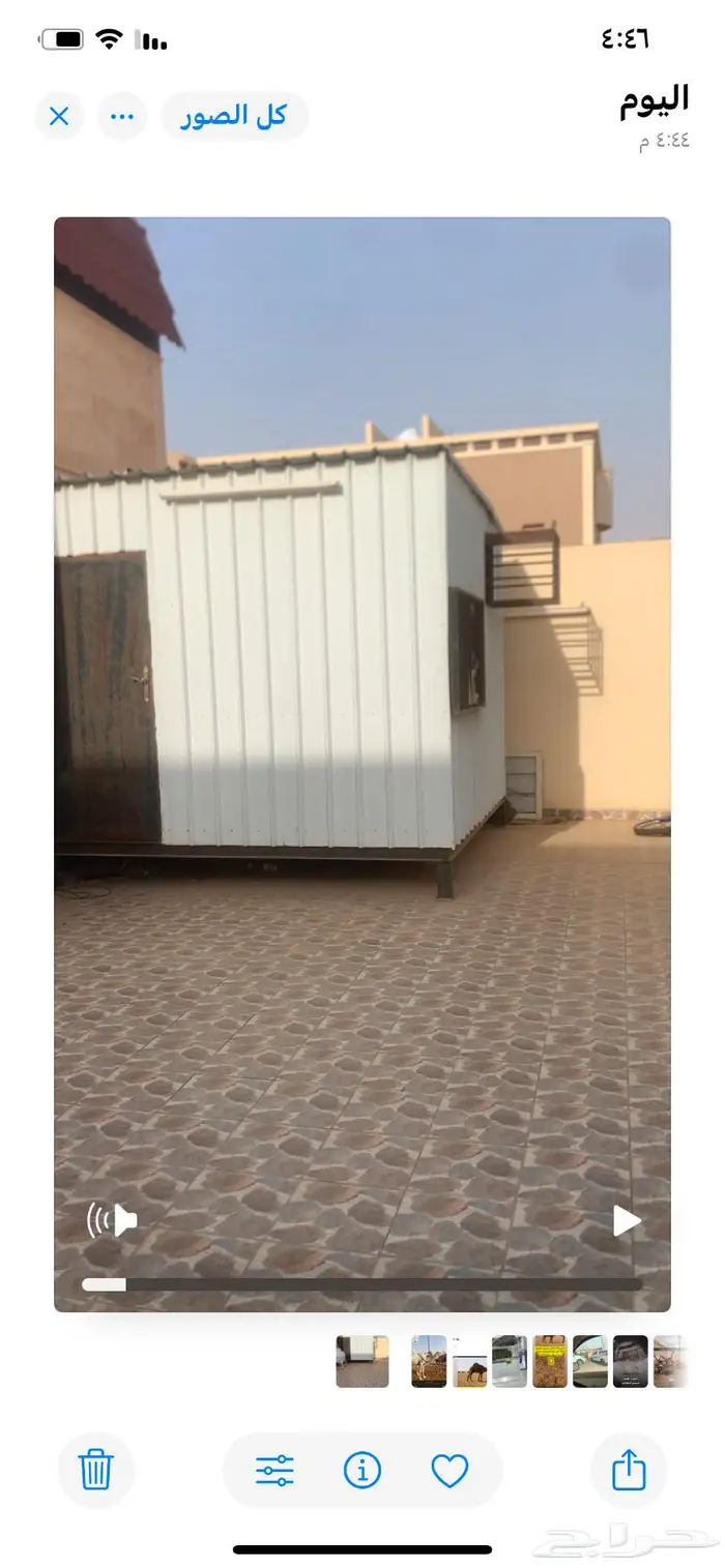شينكو نظيف 0
