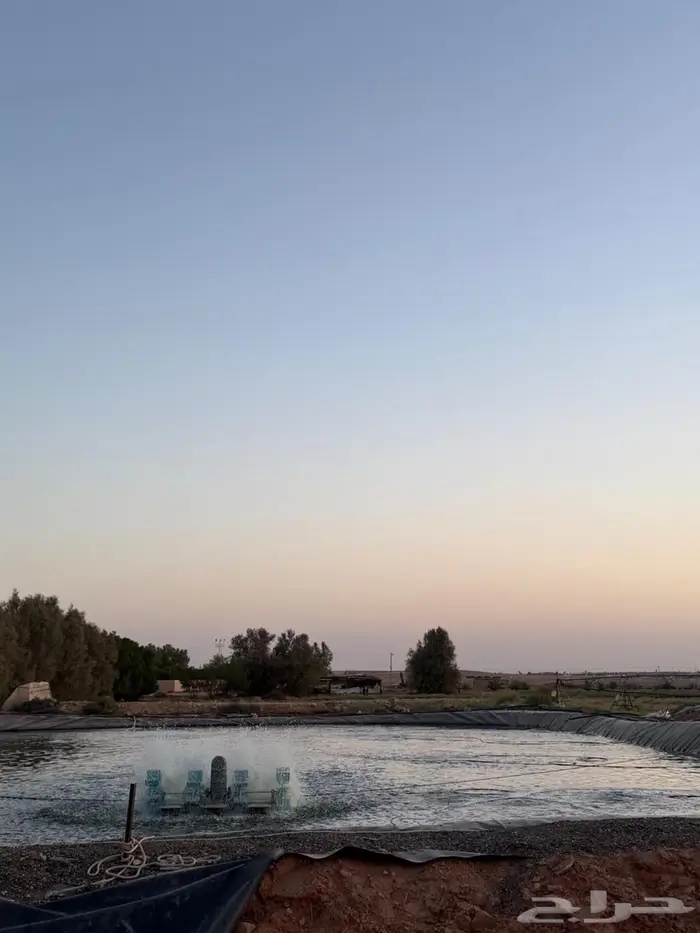 مشروع مزرعة اسماك للاجار 3