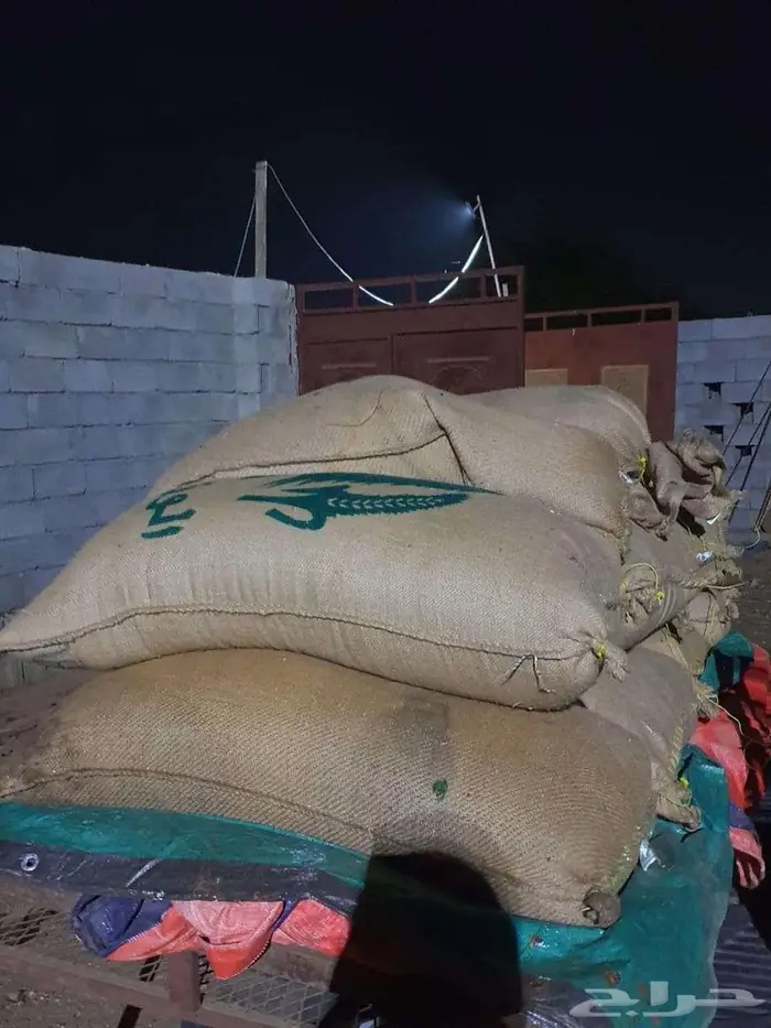 حب احمر وابيض 0