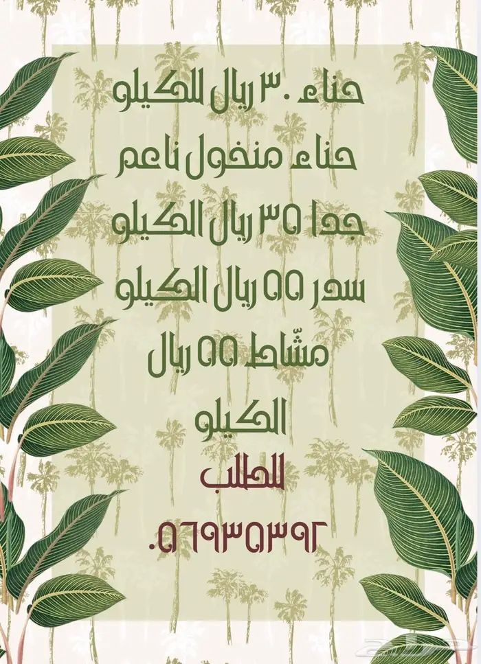 حناء حنا 0