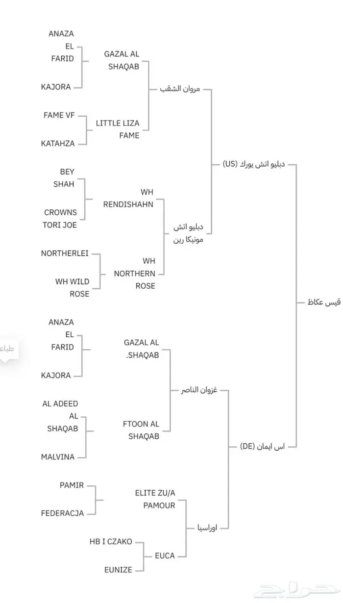 حصان مكس دم فاخر 0