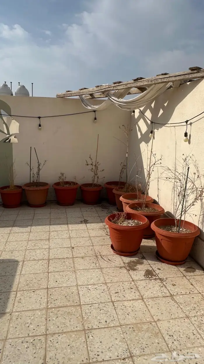 اصيصات زرع خارجية 0
