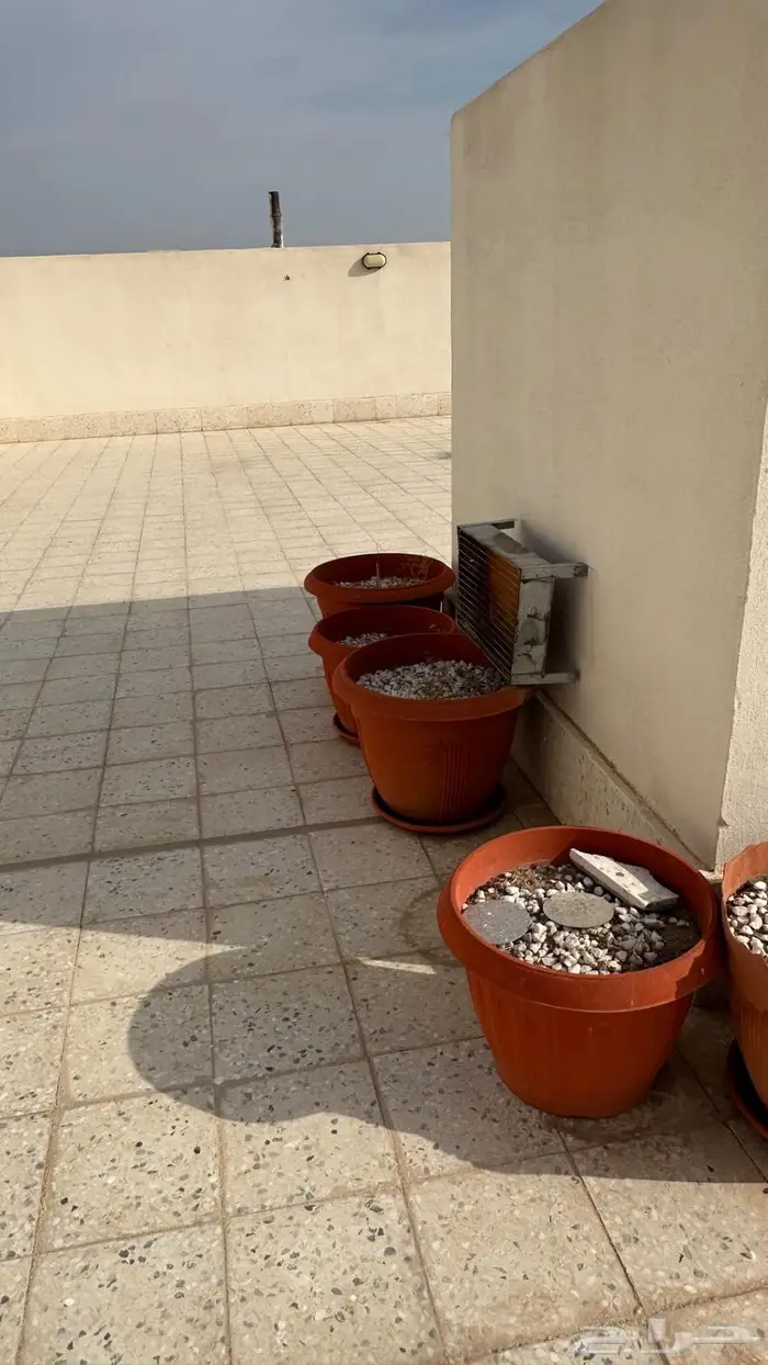 اصيصات زرع خارجية 1