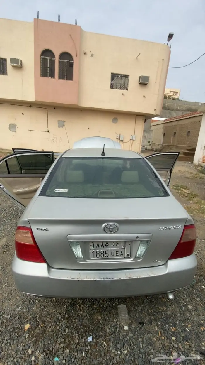 كوريلا 22