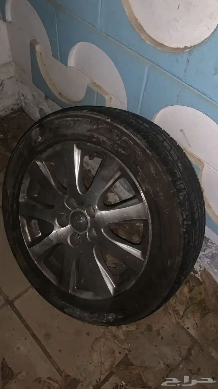جنوط اريون 1