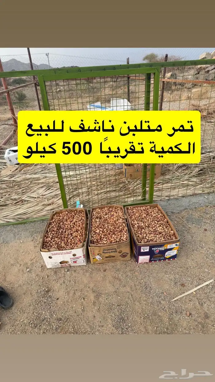 تمر متلبن ناشف للبيع   تقريبا  500 كيلو. للتواصل 0