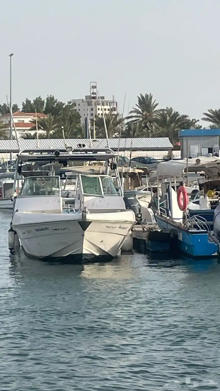 قارب للبيع سلفر كرافت 1