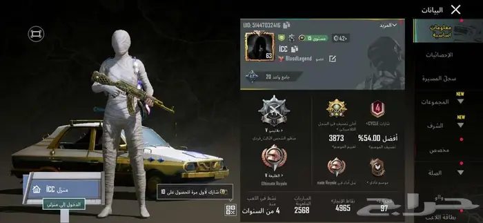 حساب ببجي فخم ورخيص رقم 119 0