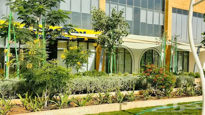 تنسيق حدائق طبيعي وصناعي 1