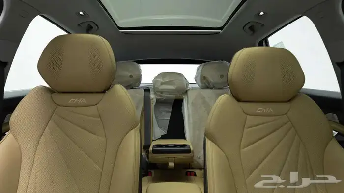 جيلي ستار راي 2024 . 8