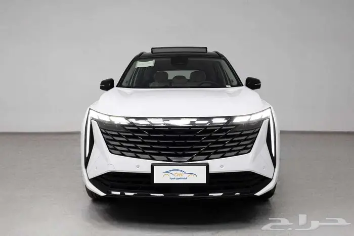 جيلي ستار راي 2024 . 0