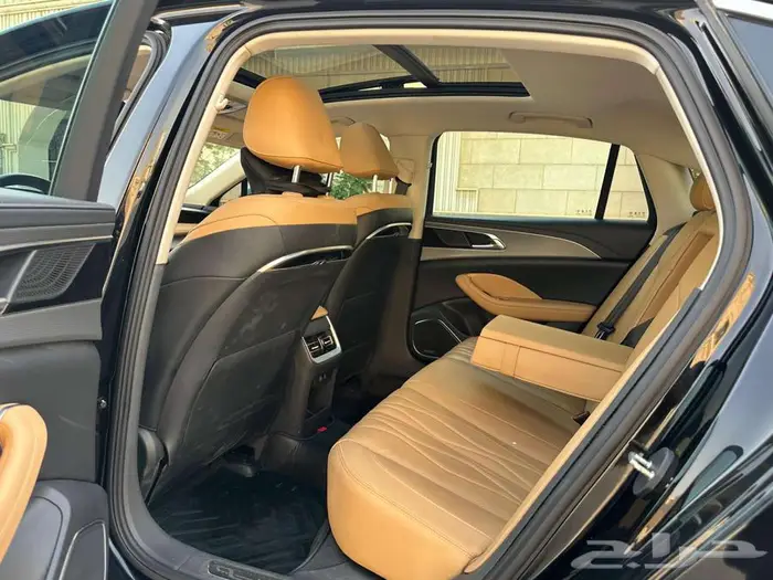 2024 HONGQI OUSADO 40 TD fully loaded with panorama sunroof 24