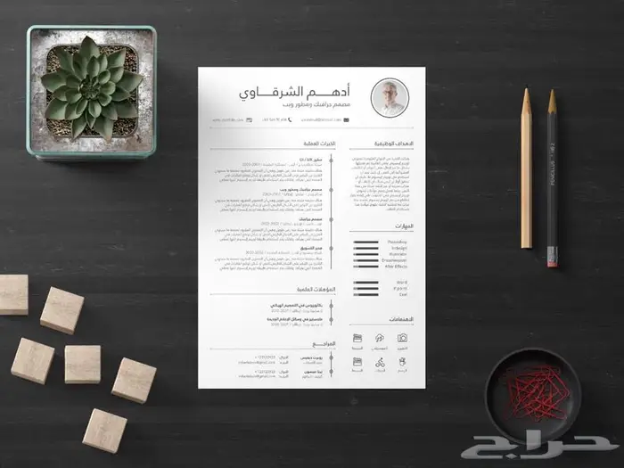 سيرة ذاتية مميزة 1