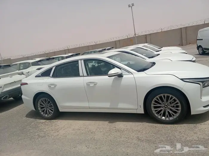 فاو بيستون B70 كومفورت 2025 اصفار 11