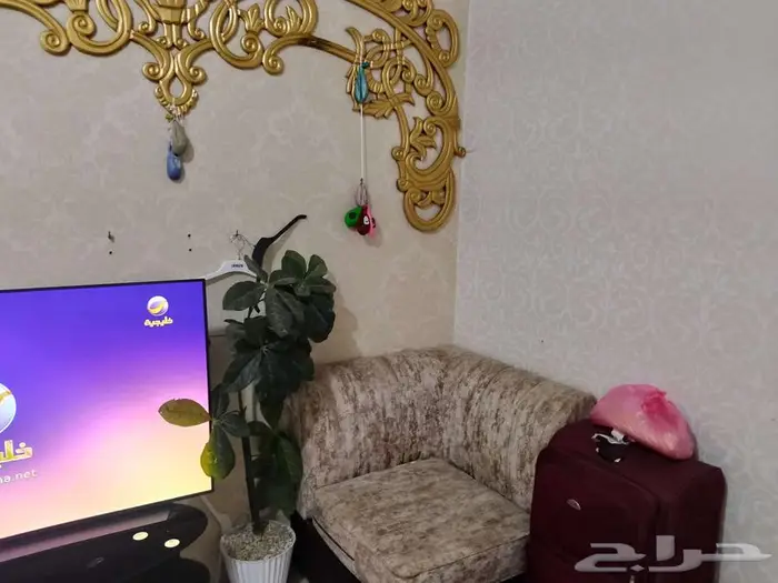 جدة التحلية 0