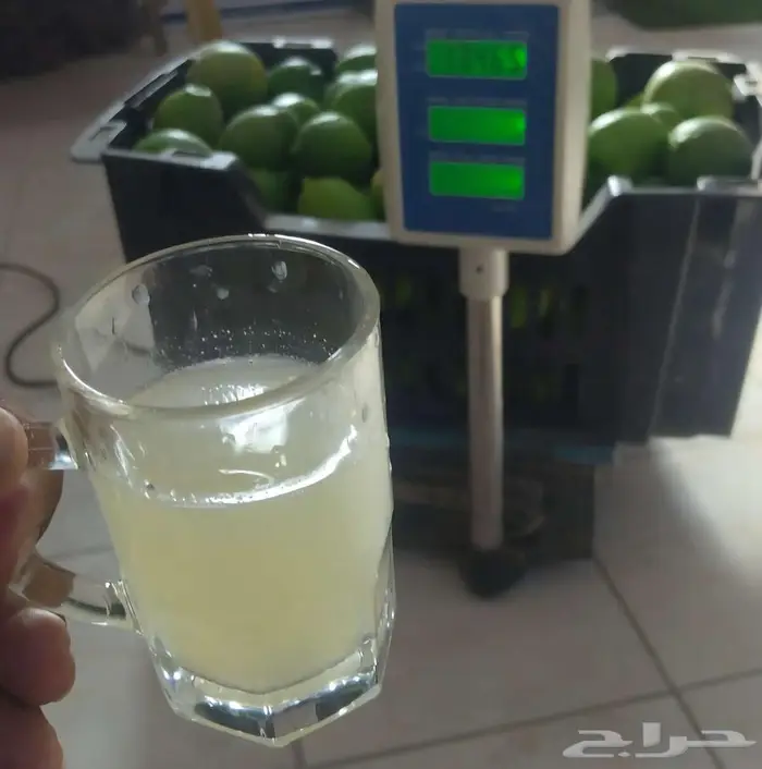 ليمون حائل بدون بذور عضوي 100 3