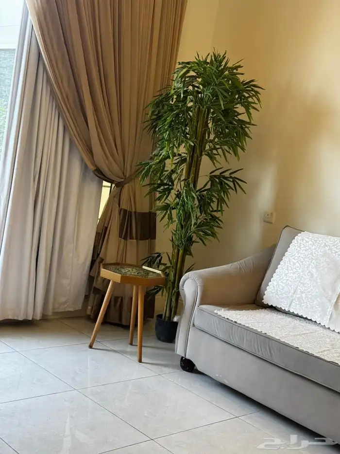استديو للإيجار 1