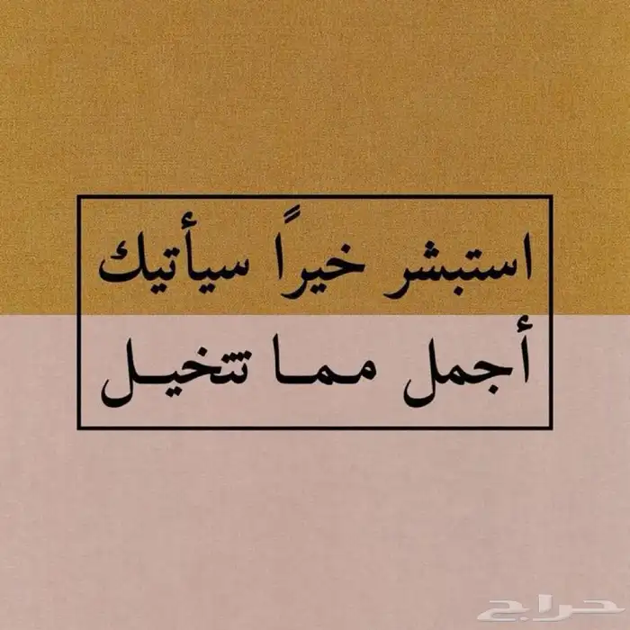 مطلوب شقة للايجار 0