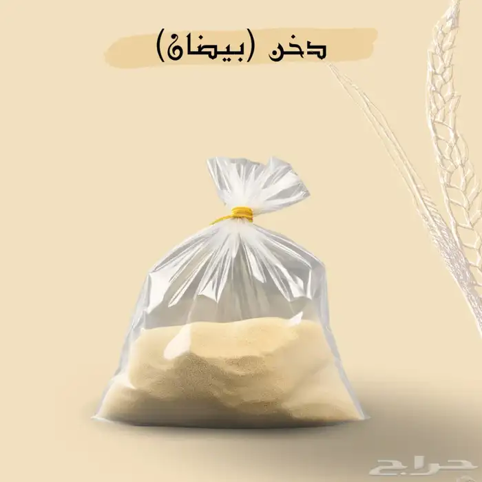 خواضه دخن بيضان نظيف مضمون بعنايه بذمتنا 2