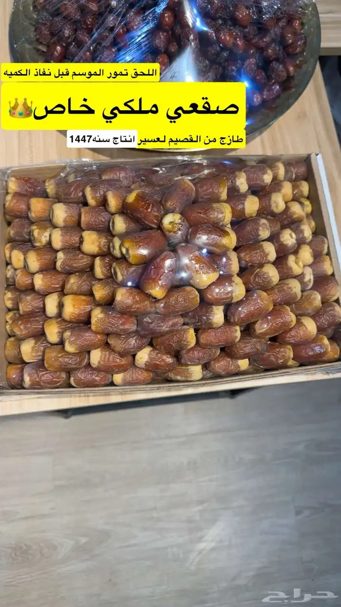 صقعي ملكي 0