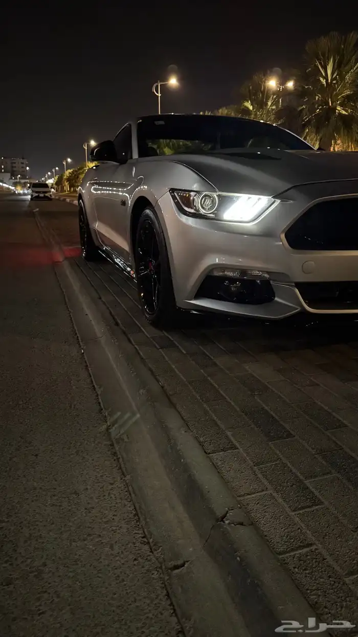 موستنج 2015 1