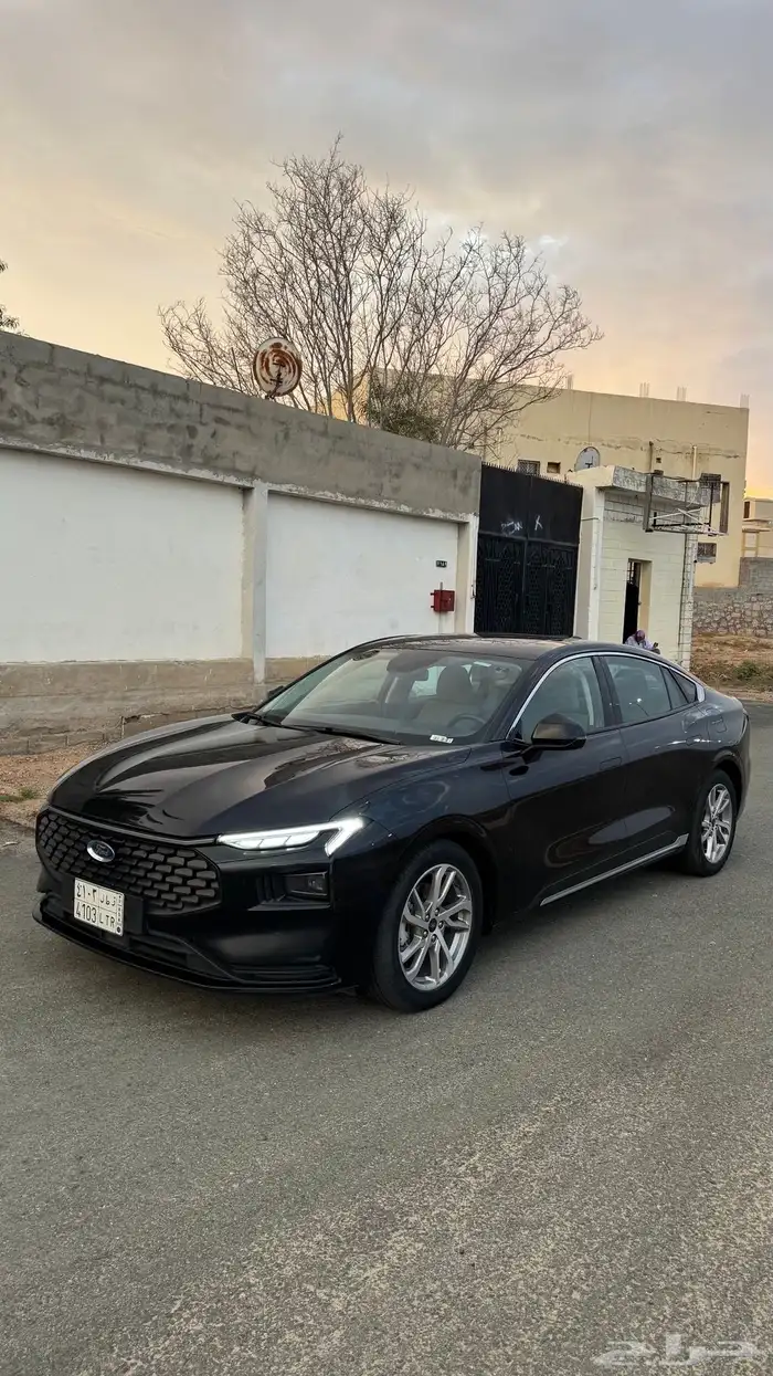 تورس 2023 1
