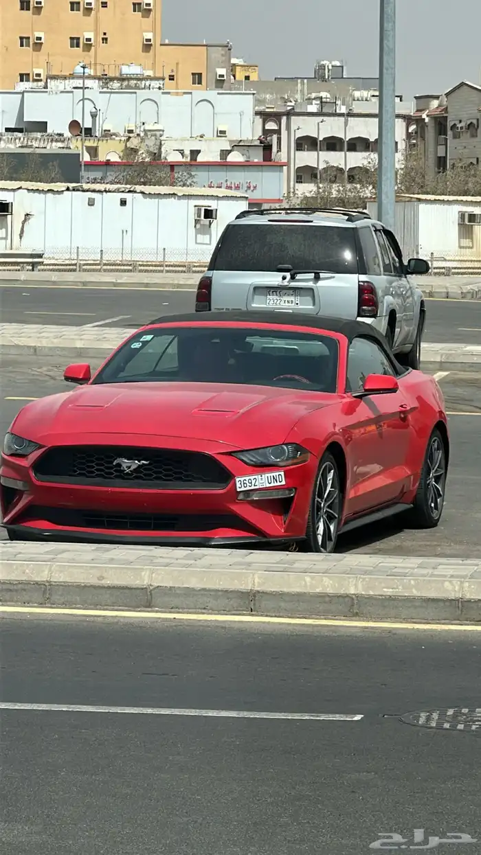 موستنق موديل 2019 0