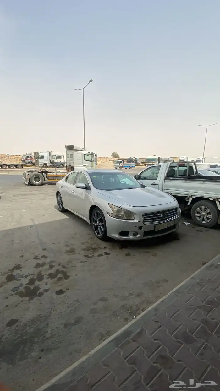 مكسيما 2010 للبيع 2