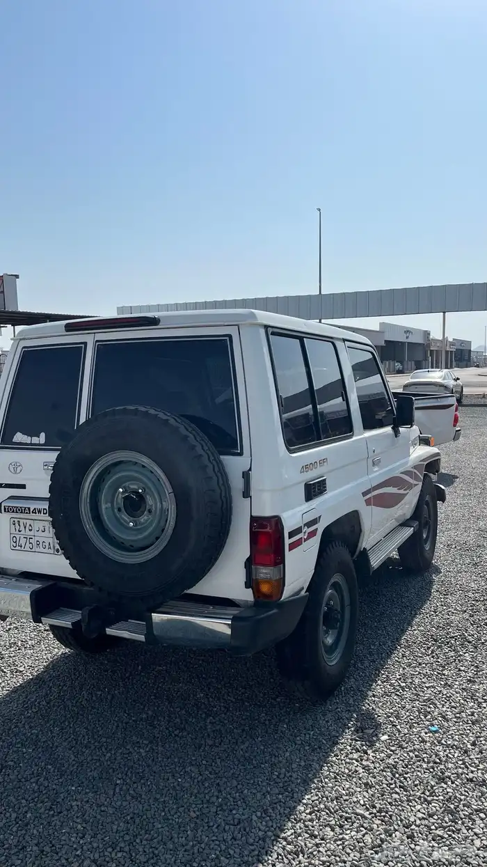 جيب ربع 2004 1