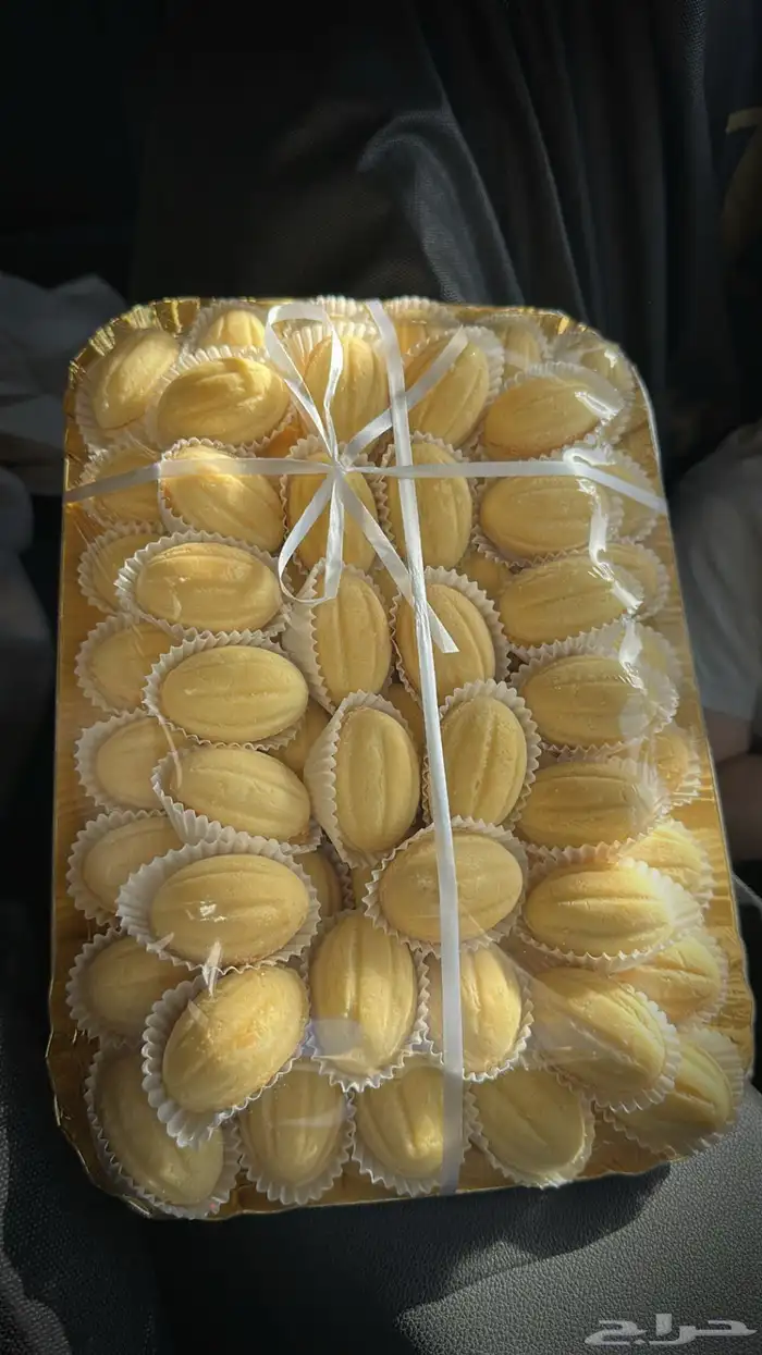 جوزية المدينة 5
