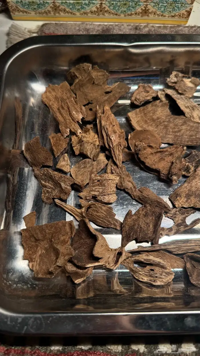كلمنتان مالينو دبل وسوبر مرتفع بيع بسعر التكلفة 2