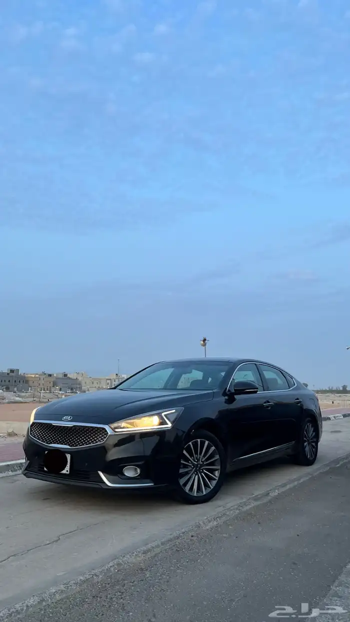 كدنزا 2018 البيع سمح 6