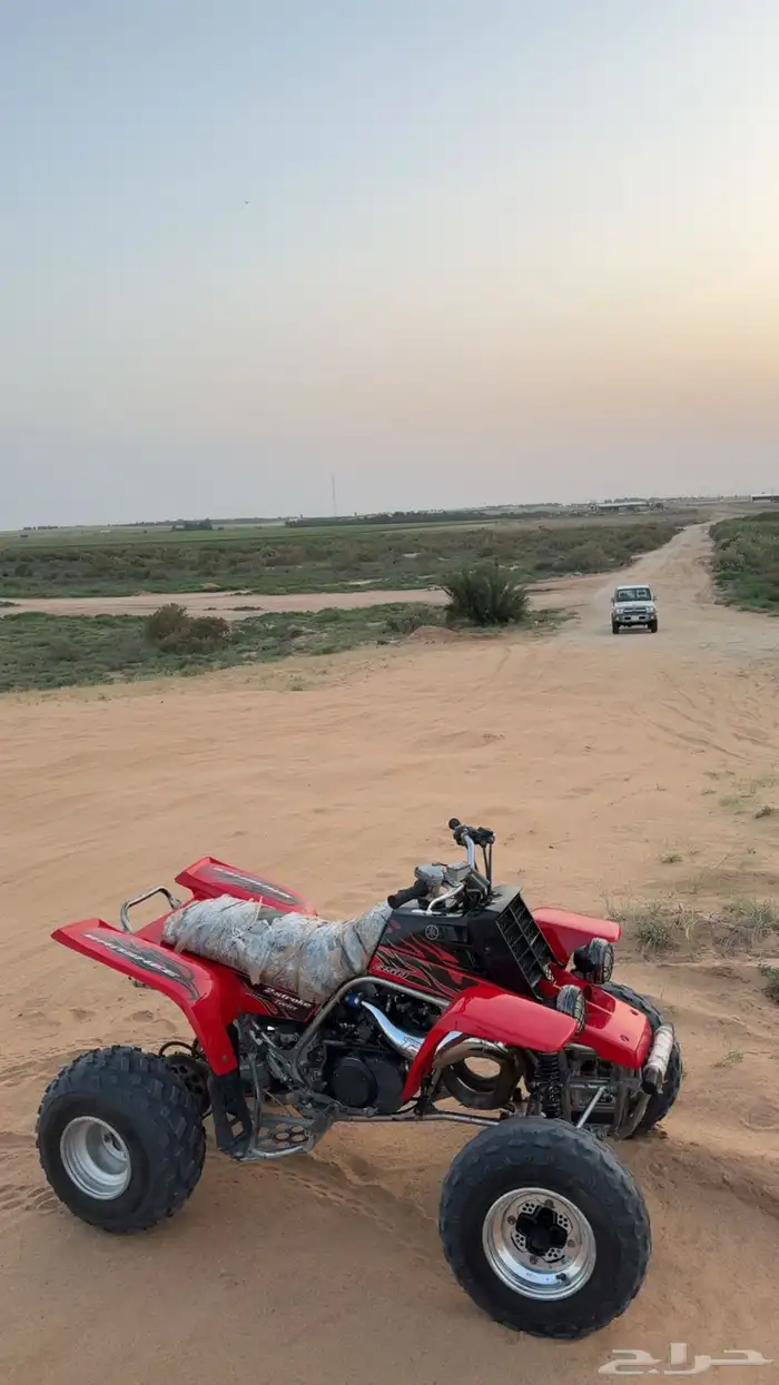 بانشي 2007 1