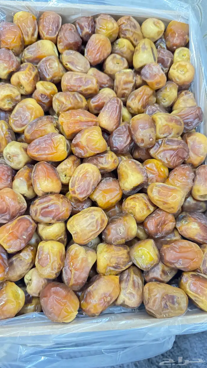تمر سكري طبيعي 2