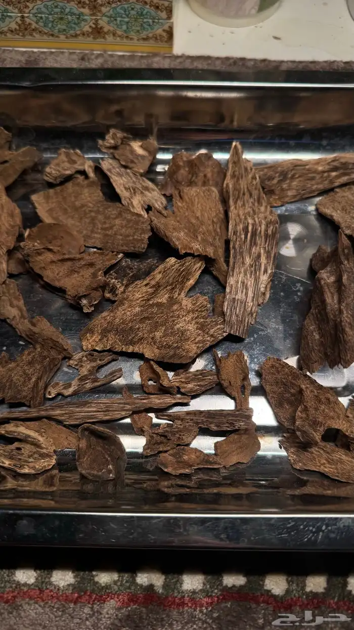 كلمنتان مالينو دبل وسوبر مرتفع بيع بسعر التكلفة 1