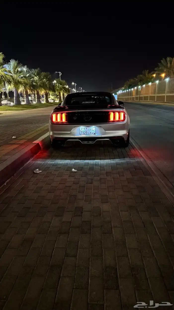 موستنج 2015 7