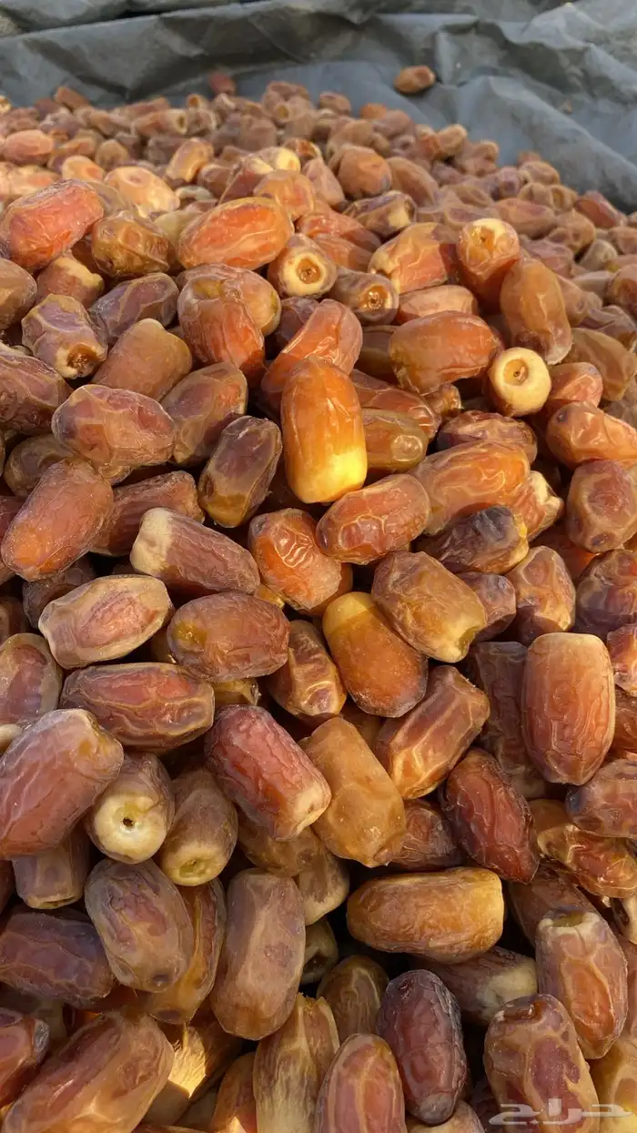 صقعي 0
