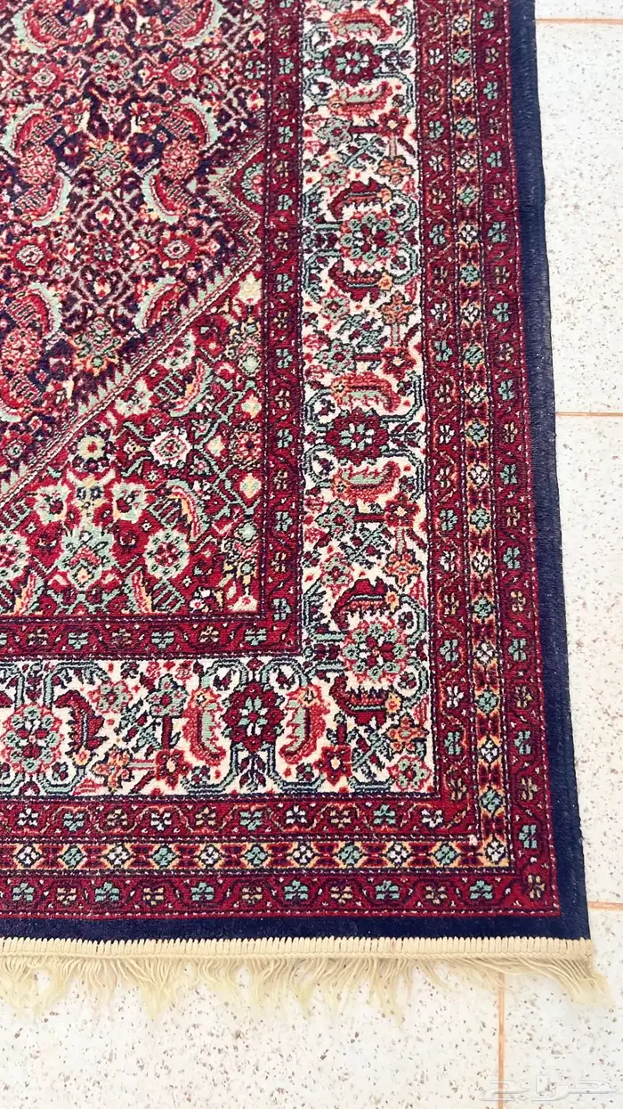 قطعة زل بولندي ( قديم ) مقاس نادر 0
