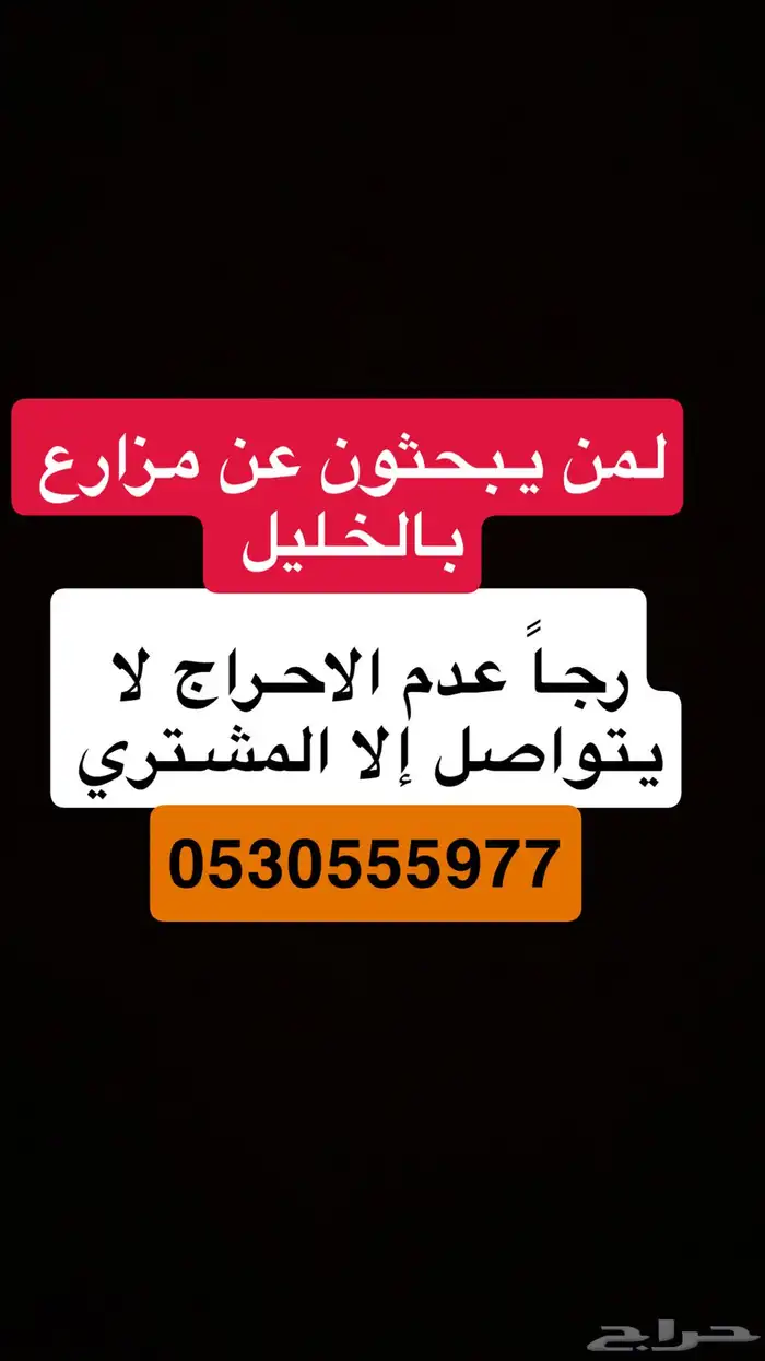 العيون الغابة 0