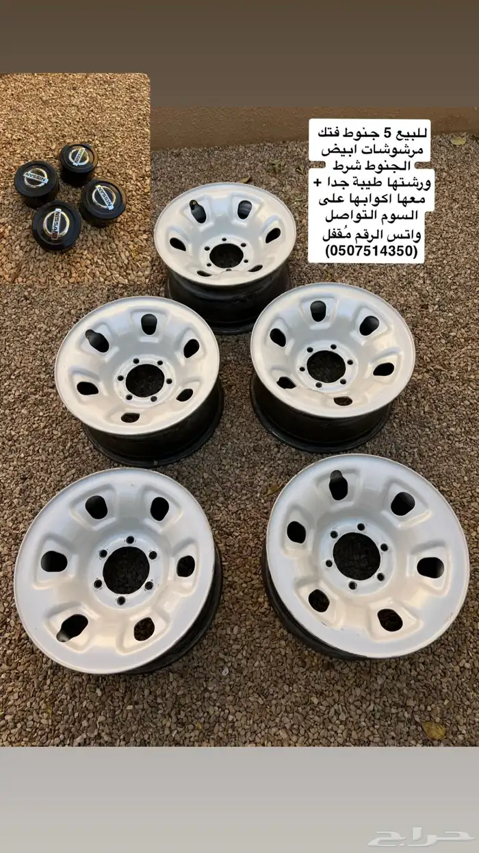 جنوط فتك العدد 5 0