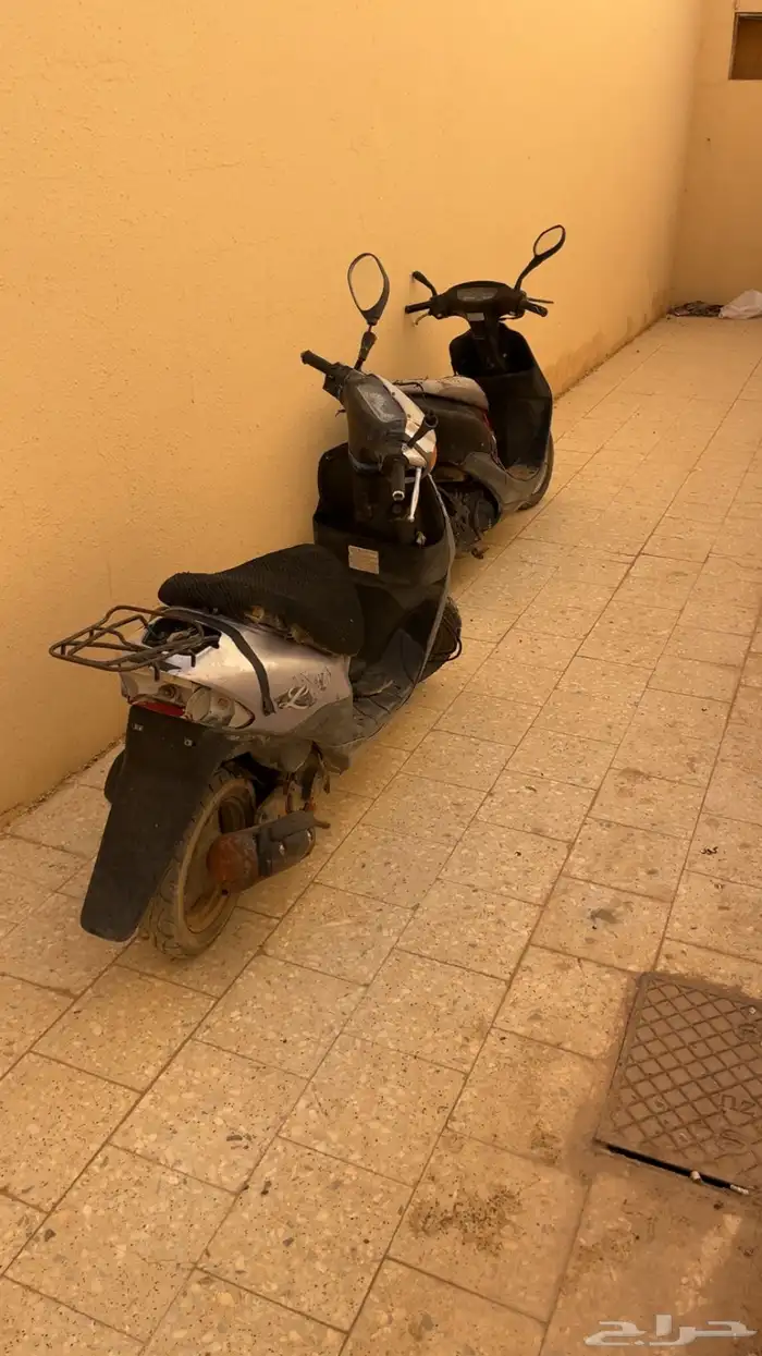 دباب بطه 0