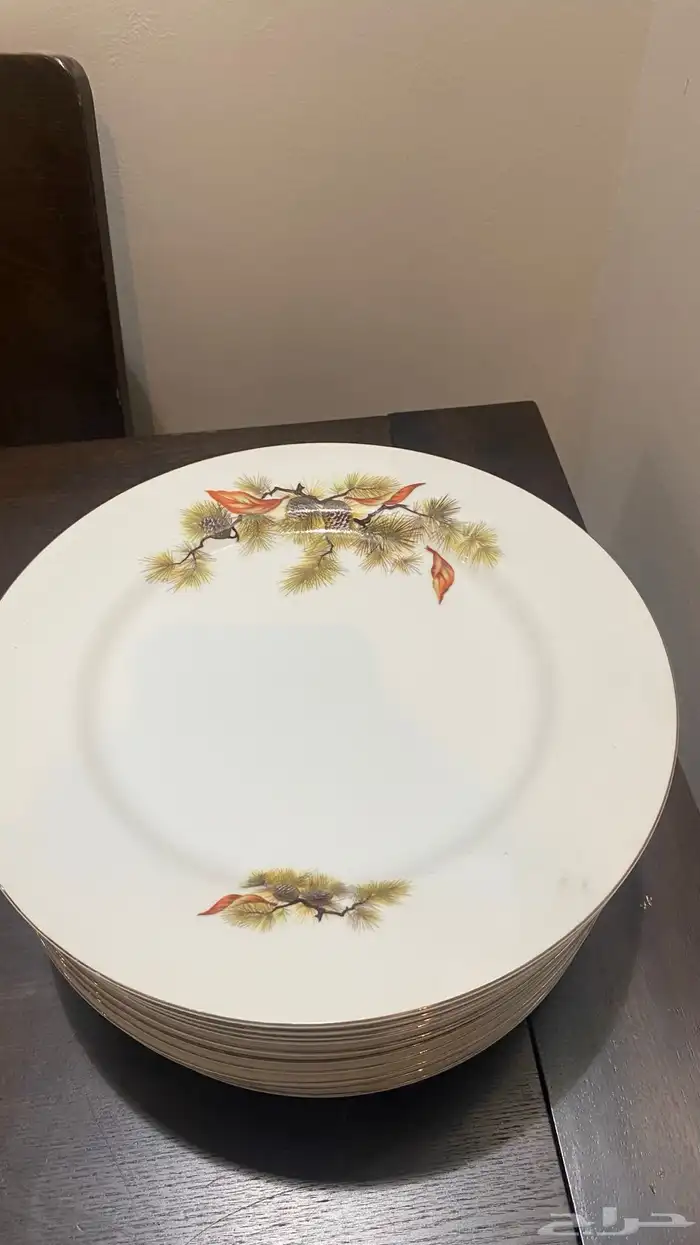 صحون سراميك (طقم سفره) 7