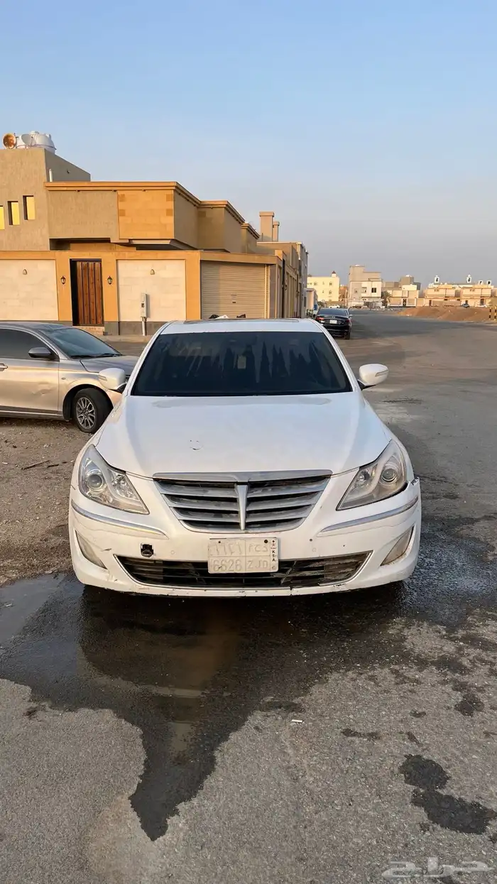 جنسس 2014 1