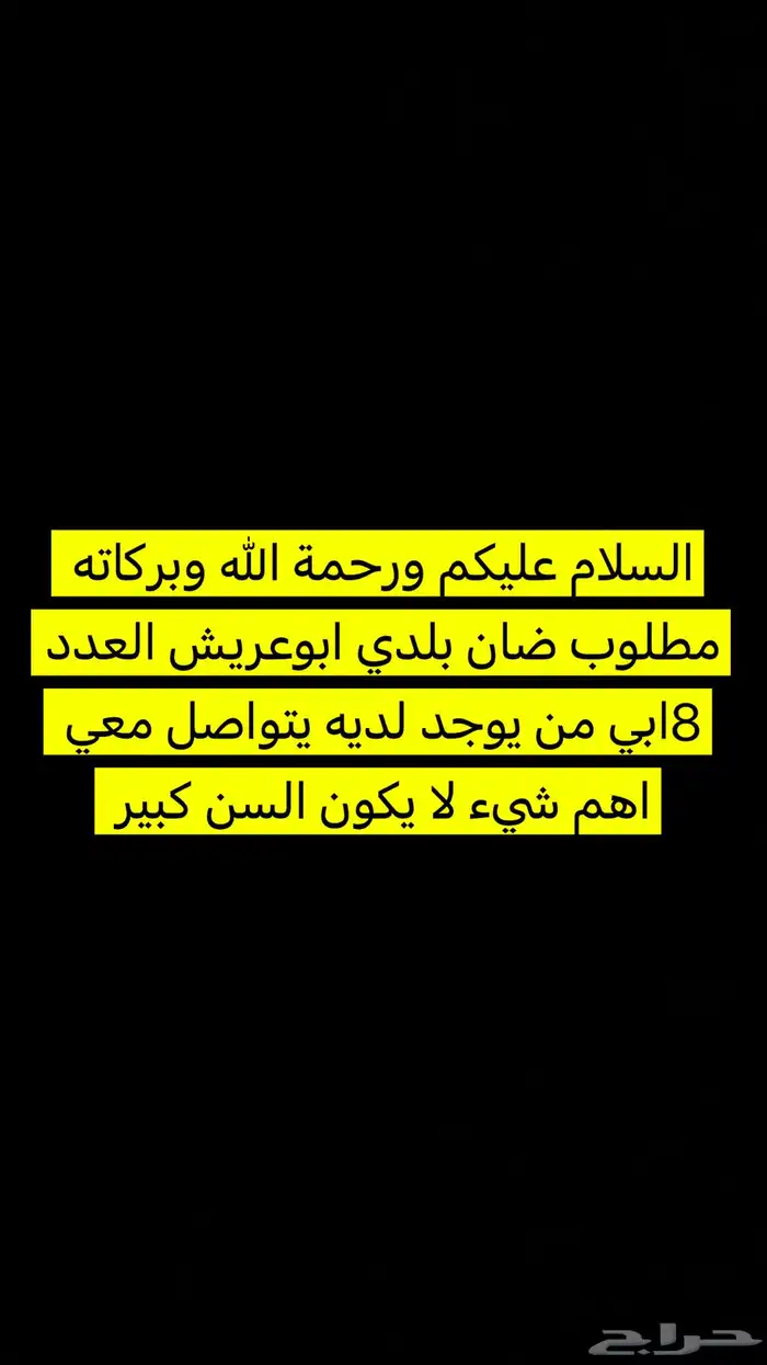 ابي ضان بلدي العدد8 ابي 0
