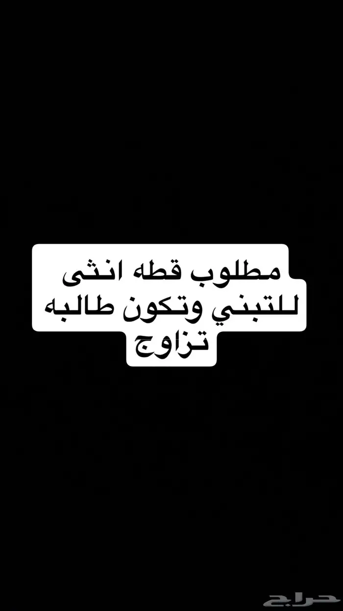 تبني انثى 0