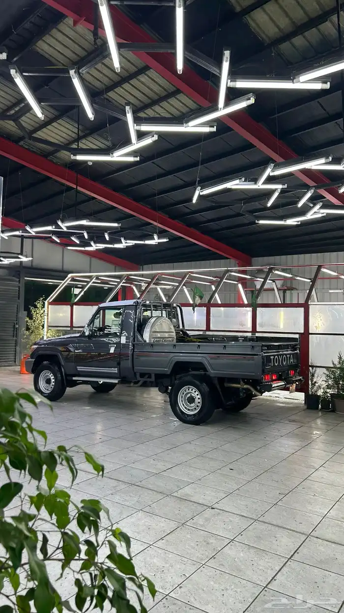 شاص 2021 بريمي رمادي 31