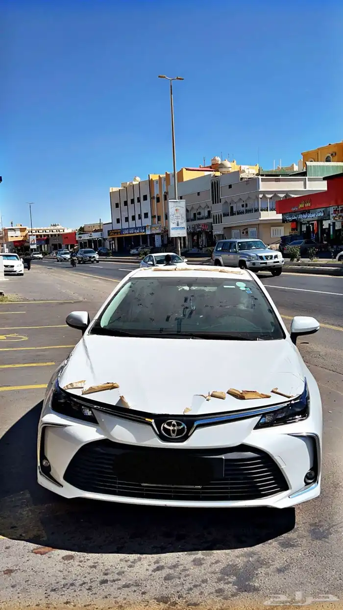 بدون مقابل 0